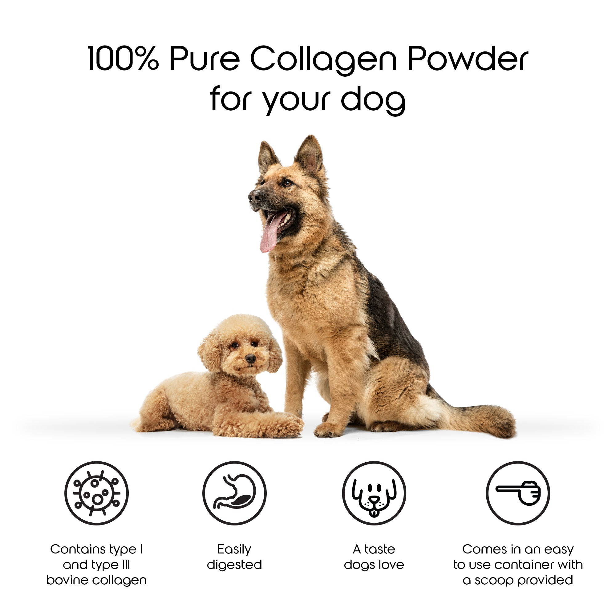 Collagen Powder For Dogs