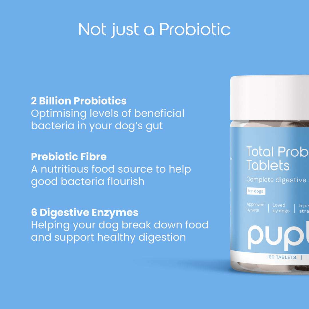 Total Probiotic Tablets For Dogs