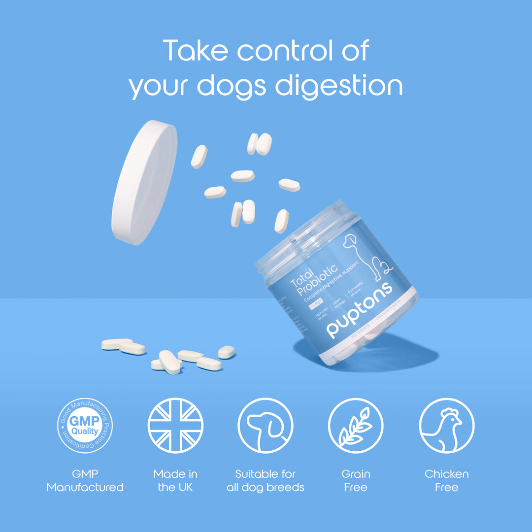 Total Probiotic Tablets For Dogs