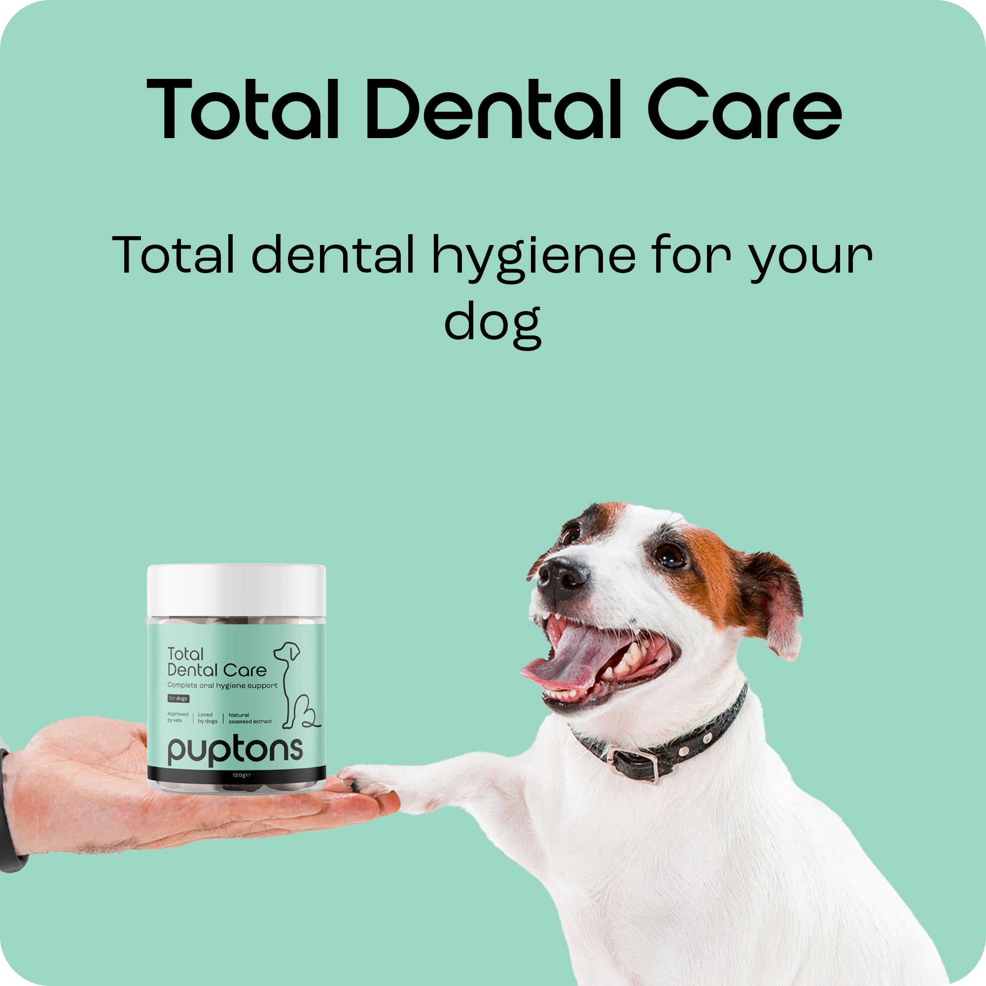 Puppy fashion dental care