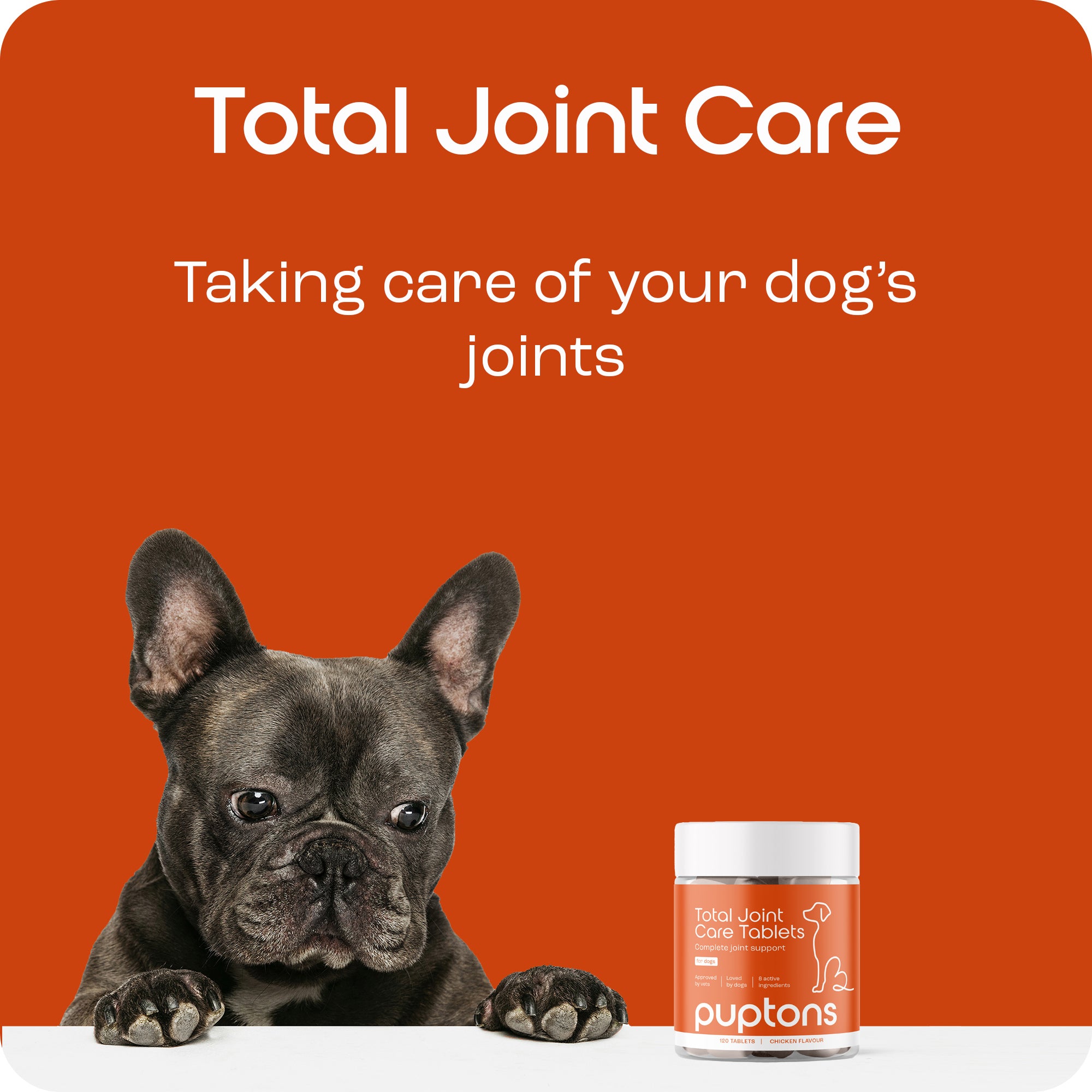 Total Joint Care Supplement For Dogs Puptons